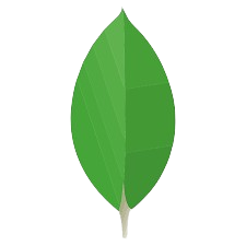 Green leaf vector illustration